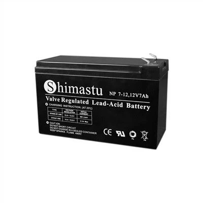 12V7Ah baterija za alarmni sistem